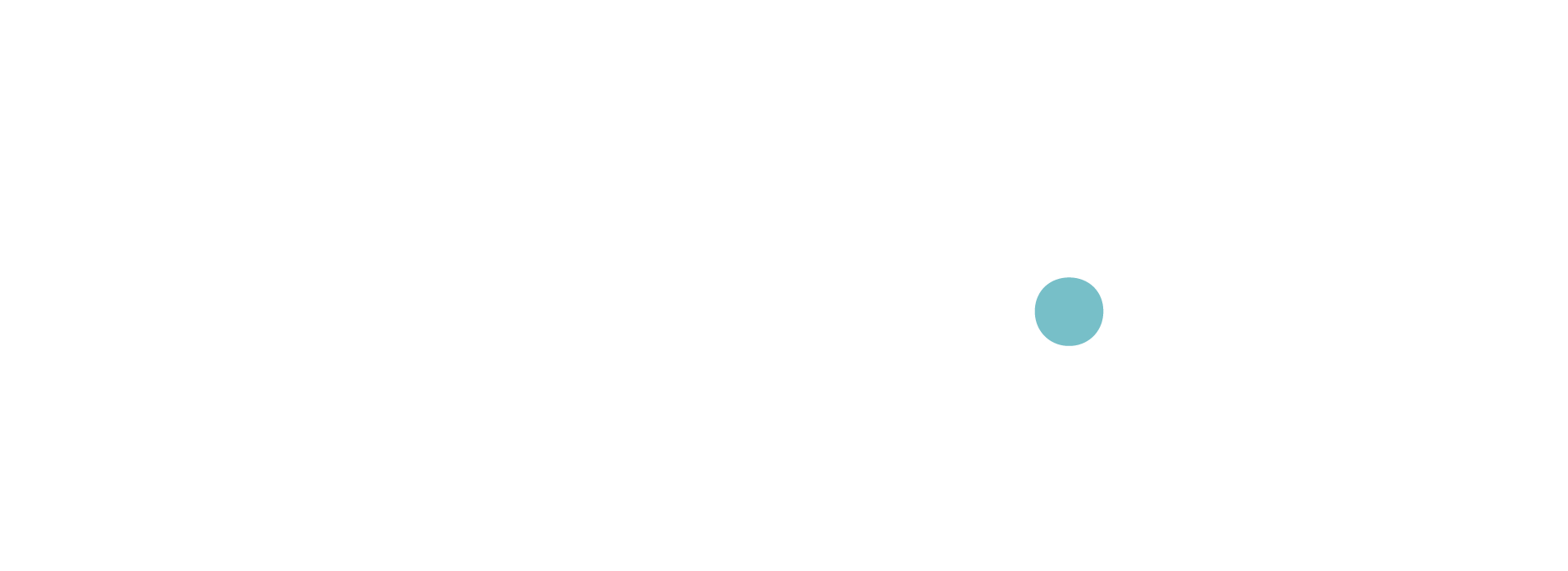 Belle.AI Guides